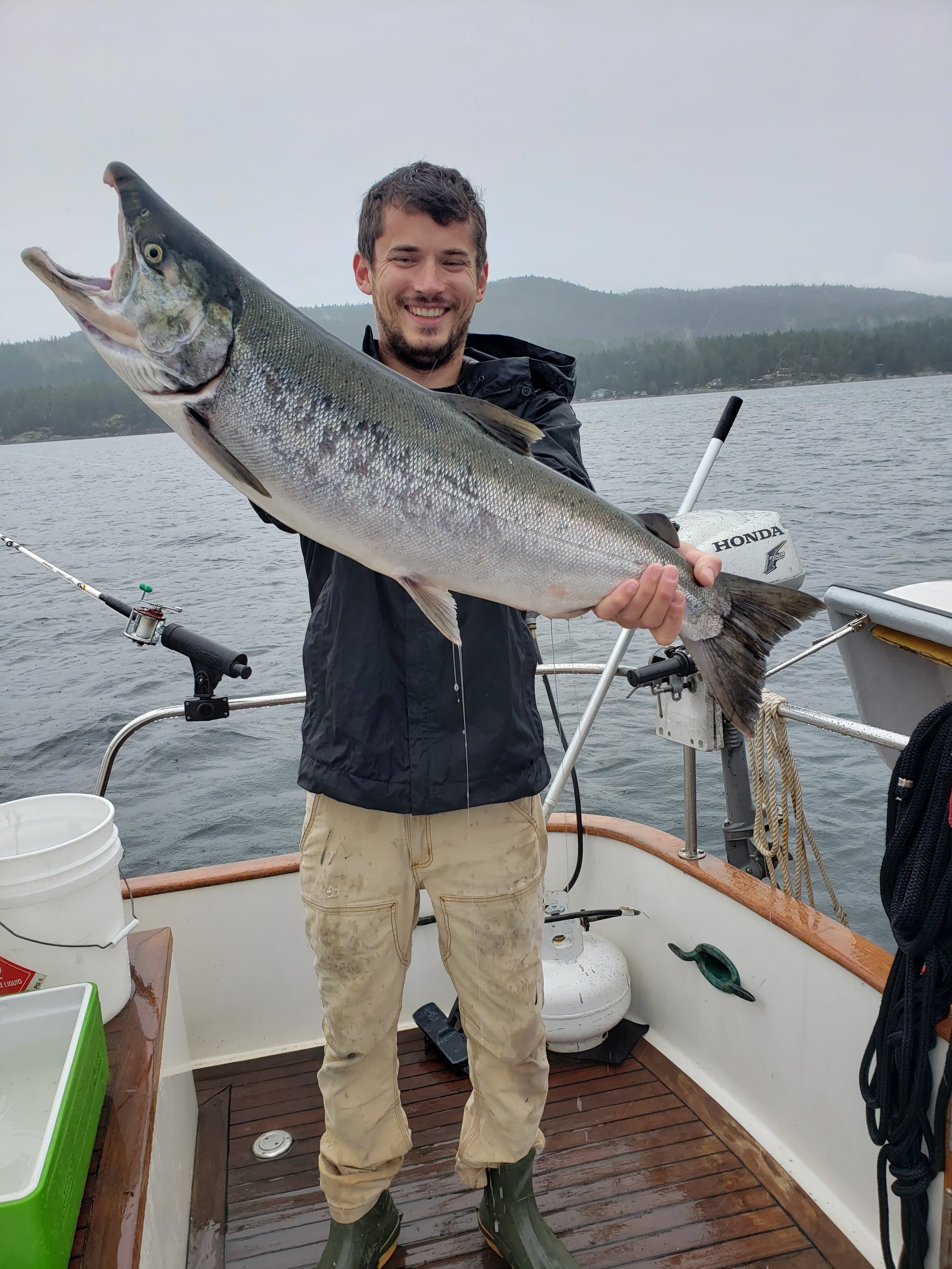 50 Dollar Coupon For Salmon