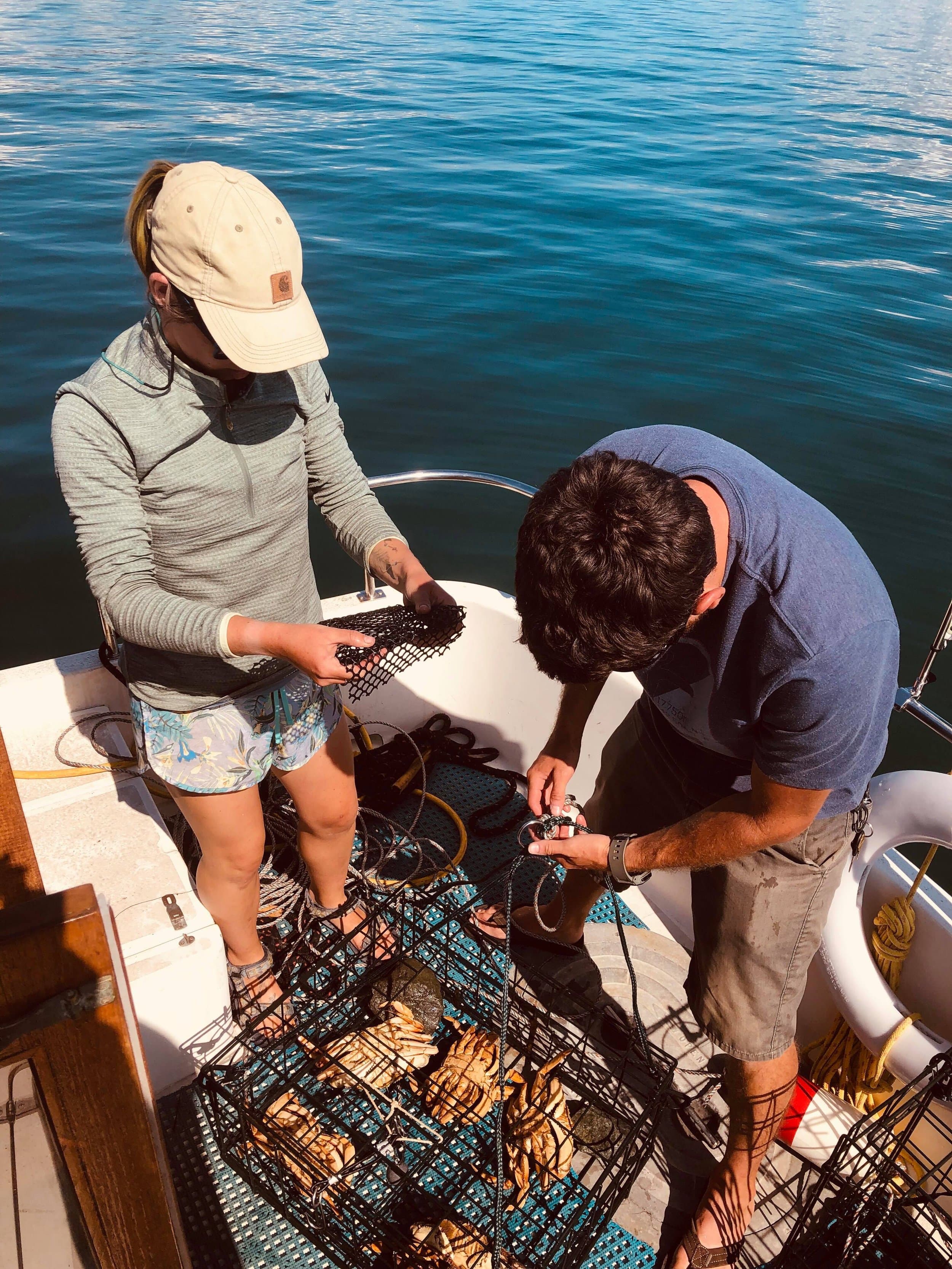 Collecting Crab From The Pots