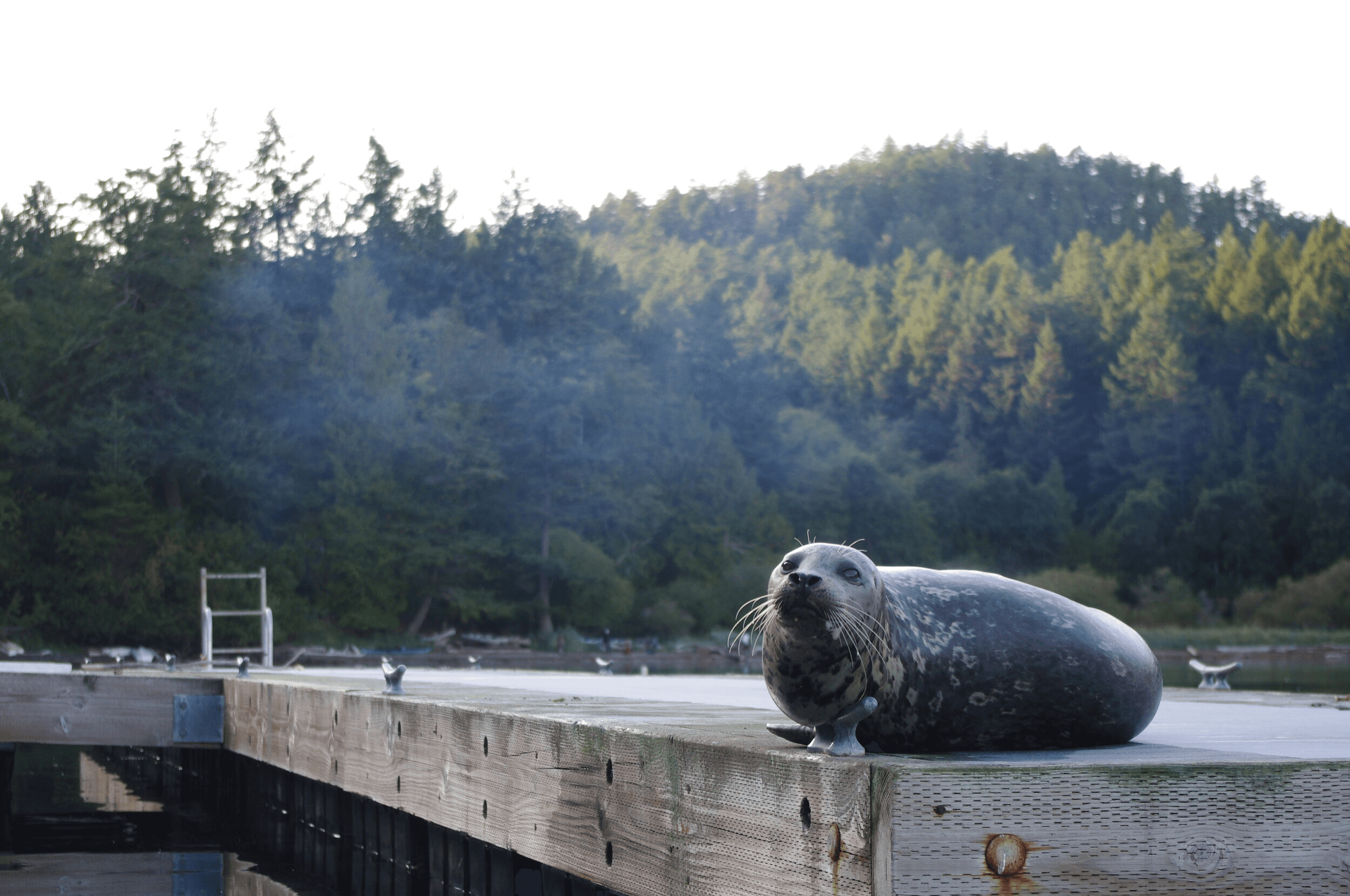 5 Hidden Coves in the Mediterranean